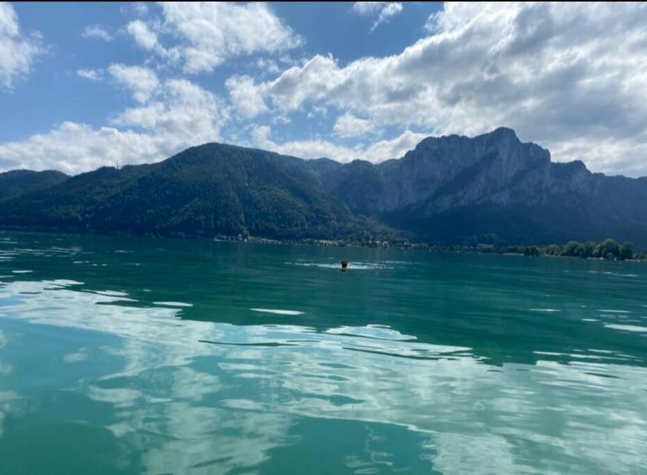 Die Feelgood-Wohnung Am Mondsee Exteriér fotografie